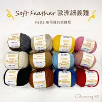 在飛比找蝦皮購物優惠-歐洲SOFT FEATHER 細義麵 棉質毛線 毛線 棉線 