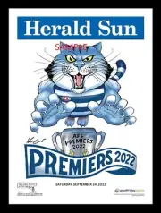 2022 MARK KNIGHT PREMIERSHIP POSTER FRAMED GEELONG CATS AFL PREMIERS SELWOOD
