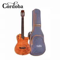 在飛比找Yahoo奇摩購物中心優惠-Cordoba Stage Natural Amber 跨界