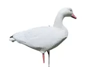 Snow Goose Full Body Decoys, SnowDown Decoys, Full Bodies Snows