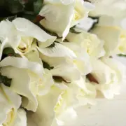 Package of 12 Large Cream Artificial Rosebud 27" Floral Stems
