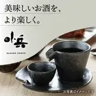 Shizuru Cold Sake Set Silver and Black Tableware Spouted Sake Cup [ From Japan