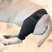 Fabric Dog Leg Assist Dog Thigh Protector Fixed Protective Gear Anti-Lick Wound