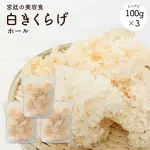 白木耳100G ×3袋| 300G白木耳 木耳 食物纖維豐富 營養滿點 高級食材 日本必買 | 日本樂天熱銷