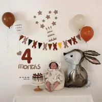 在飛比找ETMall東森購物網優惠-ins森系寶寶100天百天布置氣球1個月4個月滿月裝飾拍照道