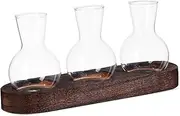 ibasenice 1 Set Hydroponic Glass Vase Clear Flower Planter for Desk Stylish Propagation Container for Home Decor Low Maintenance Design for Easy Plant Display