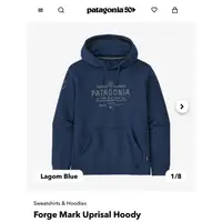 在飛比找蝦皮購物優惠-全新 Patagonia 帽T