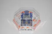 HEXBUG Fire Ant - IR Remote Control Blue Robotic Fire Ant