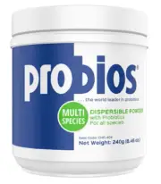Probios CHR-404 Dispersible Horse and Livestock Probiotic Powder, 240 g