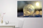 eiskristalle-soap-bubble-frost-WALL ARTS SCENERY high quality Canvas home decor
