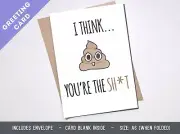 FRIEND APPRECIATION CARD poo emoji meme shit boyfriend Girlfriend Birthday
