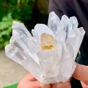 334G New Find White+Yellow PhantomQuartz Crystal Cluster MineralSpecimen