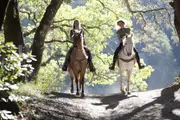 Helicopter and Horse Ride with Picnic for 2 - Hunter Valley