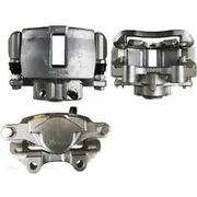 Protex Caliper Assembly - 090D0121