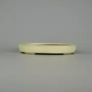 Japanese bonsai pot TOKONAME YAMAFUSA Oval shape W15.8cm H2.3cm White Glazed