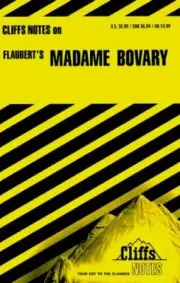 Cliffs Notes on Flaubert's "Madame Bovary" wrote by James L. Roberts