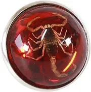 [YZYDF] Stylish Round Scorpion Rings Adjsuatble Opening Rings Resin Statement Unique Finger Jewellery Trendy Couple Gift