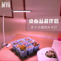 在飛比找蝦皮購物優惠-植物燈💐 特價💸貴翔 多肉補光燈上色全光譜充電LED  植物