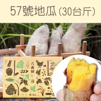 在飛比找台灣好農優惠-【六香田】台農57號地瓜(30台斤)