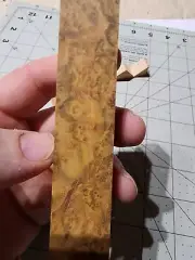 Stabilized Chittum Burl Pen Blank...plus Bonus Scrap