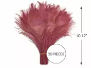 50 Pieces Taupe Bleached & Dyed Peacock Tail Eye Feathers Bulk Wedding Halloween