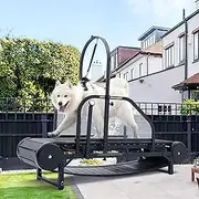 Dog Treadmill for Large Dogs/Medium Dogs,Adjustable Ramp Canine Running Slatmill Machine with Pedometer for Exercise & Healthy & Fit Pet Life