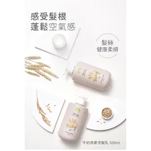 nac nac 牛奶燕麥沐浴乳500ml/洗髮精500ml/潤膚乳液200ml 0歲以上適用 寶寶共和國