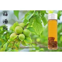 在飛比找PChome24h購物優惠-台灣製玻璃梅酒瓶888ml (付蓋和配件)/秋雅瓶/梅酒瓶/