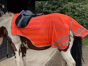 Equipride REFLEX HIND EXERCISE SHEET HI VIZ QUARTER SHEET SADDLE GAP FULL/COB/PONY NEON ORANGE (Pony)