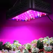 300W/600W/1000W/2000W Green Fingers LED Grow Light Indoor Veg Bloom Full Spectrum