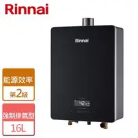 在飛比找森森購物網優惠-【林內Rinnai】RUA-C1628WF 屋內型強制排氣熱