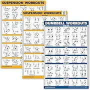 Palace Learning 3 Pack - Suspension Workout Posters - Volume 1 & 2 + Dumbbell Exercises Poster Set - Set of 3 Workout Charts