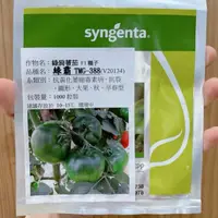 在飛比找蝦皮購物優惠-原包裝 1000粒 綠霸番茄種子 一點紅番茄種子 綠霸番茄種