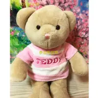 在飛比找momo購物網優惠-【TEDDY HOUSE泰迪熊】泰迪熊玩具玩偶公仔絨毛娃娃b