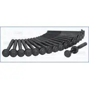 Austral Cylinder Head Bolt Set - 81032800