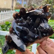 5.18LB Natural Black Smoky Quartz Crystal Cluster Mineral Specimen Backbon heal