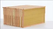 10 Pcs Assembled Beehive Box Super & Brood Bee Hive Frames with Foundation