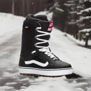 Vans snowboard boots 10.5 mens