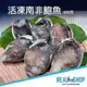 【RealShop 真食材本舖】活凍南非鮑魚 600g