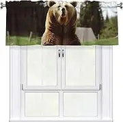 LHBWCVN Hi Bear Sit on The Lawn Valances for Windows, Rod Pocket Window Treatment Drapes Farmhouse Kitchen Curtains Short Blackout Window Curtains for Living Room Bedroom Decor 54x18 Inch