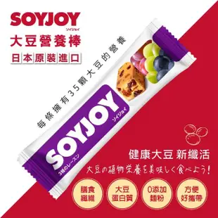 【SOYJOY】大豆水果營養棒-葡萄口味2盒組(12入/盒-膳食纖維 無添加麵粉 不含膽固醇 能量補充)