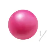 Pink Exercise Stability Ball 25cm Mini Yoga Ball Pilates Fitness Women Lady Gym