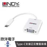 在飛比找蝦皮商城優惠-LINDY林帝 Type-C to VGA 主動式 USB3