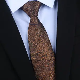 8厘米咖啡色桑蠶絲領帶男士商務襯衣領帶襯衫真絲領帶服飾配件男