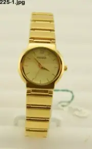 New Pulsar Ladies Watch #PTC418