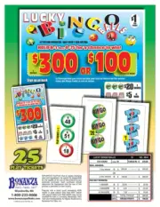 NEW Lucky Bingo Balls 576ct Seal PullTabs *Free Shipping*
