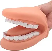Mouth Puppet with Tongue Speech Learning, Soft Silicone Giant Teeth Dental Demonstration Model, Mouth Model for Brushing Teeth, 28 Teeth, Ayayu1r3swy9u28