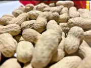Roasted Peanuts | Salted High Quality Organic 100% Healthy Fresh Pure 500g