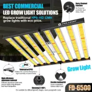 640W Grow Light Indoor LED Hydroponic Full Spectrum Flower Veg Plant Lamp FC6500