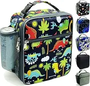 Kids Lunch Box,Insulated Lunch Box for Boys and Girls,Freezable Lunchbox, Lunch Bag kids Reusable Lunch Boxes for School,Work,Outdoor(Dinosaur)